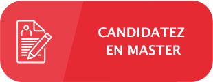 Candidatez en master