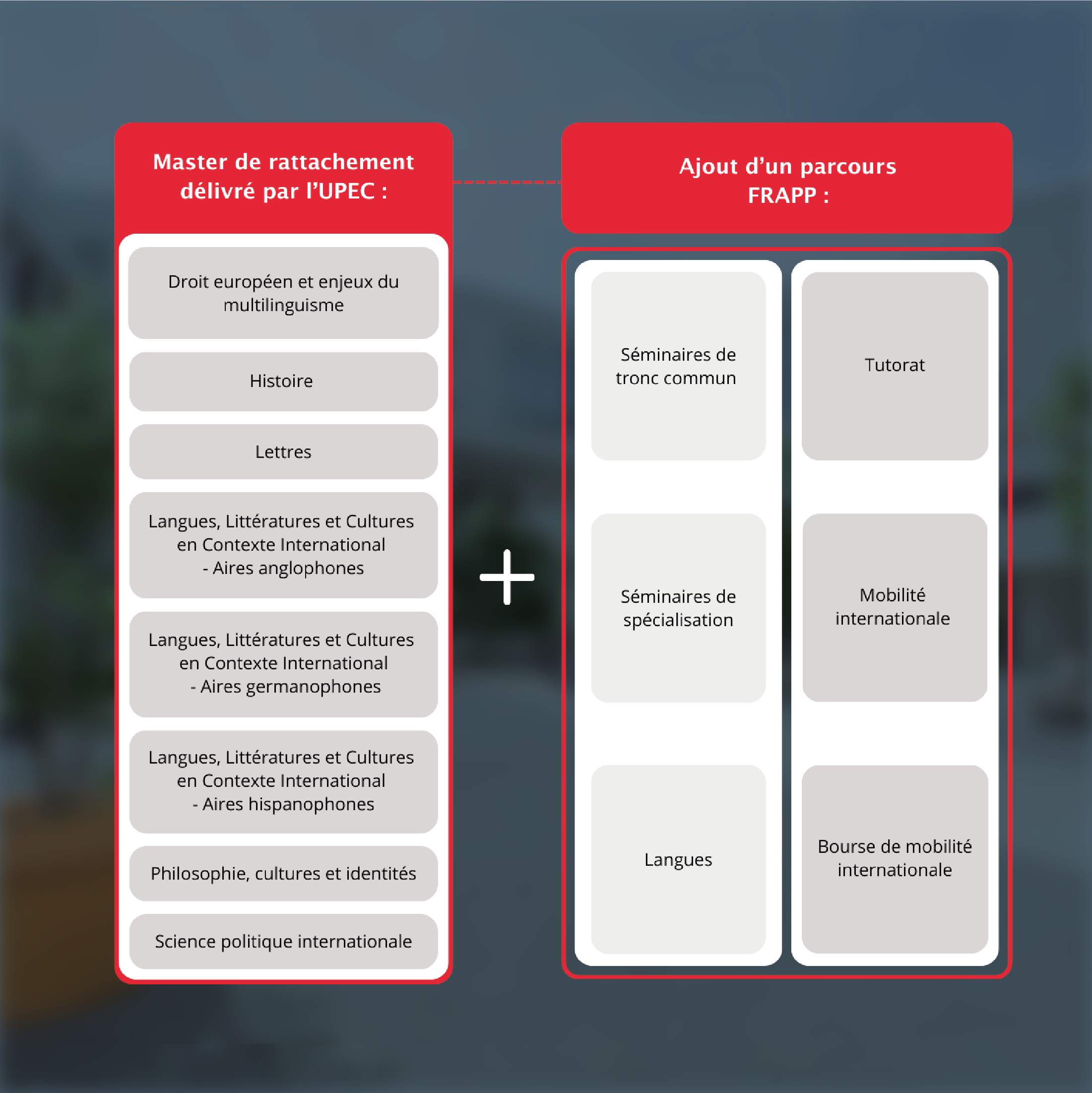 Organisation parcours Master FRAPP